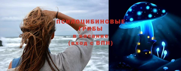 гашик Вязьма
