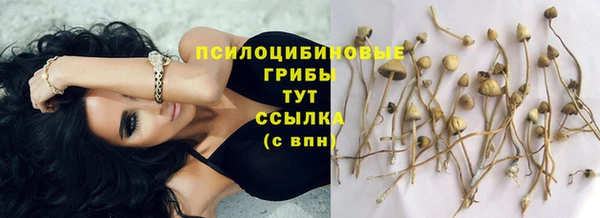 МДПВ Волосово