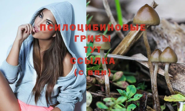 таблы Вязники