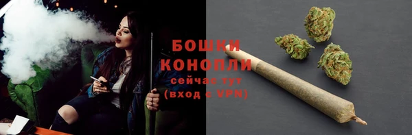 гашик Вязьма
