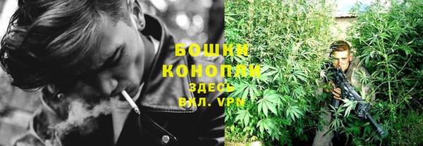 гашик Вязьма